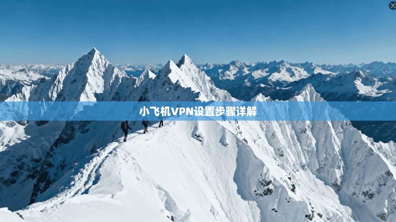 小飞机VPN设置步骤详解