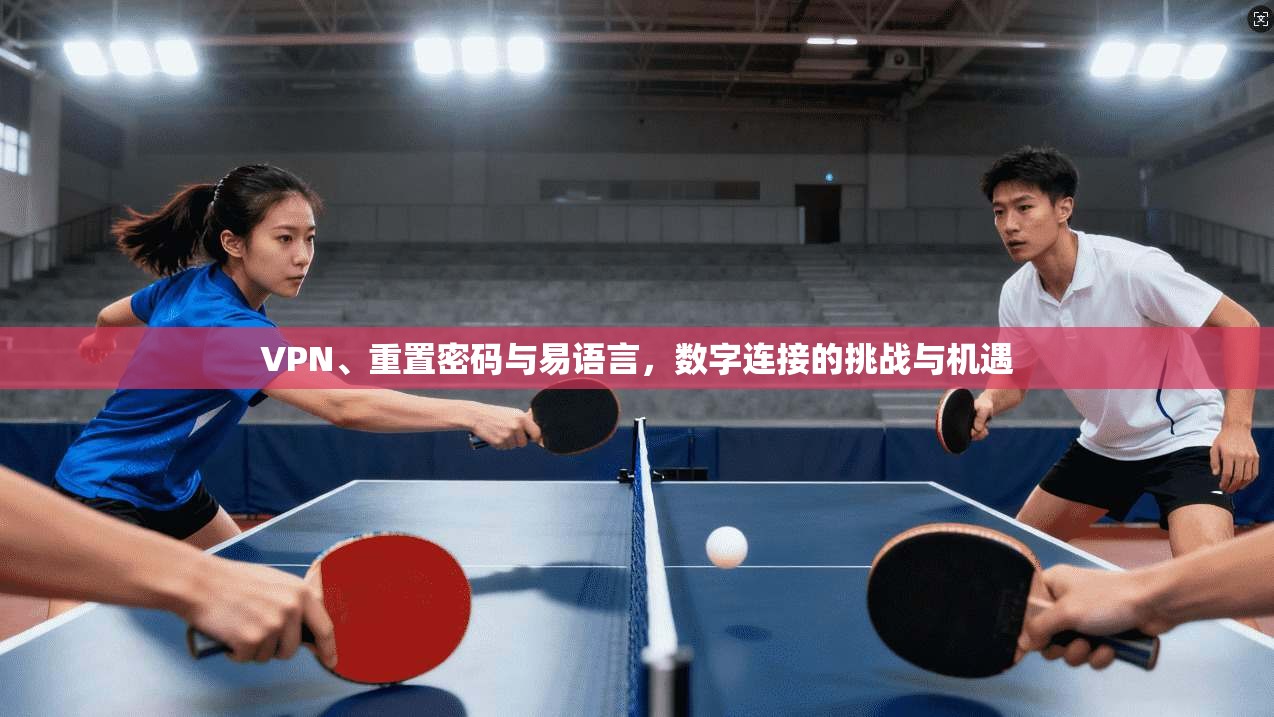 VPN、重置密码与易语言,数字连接的挑战与机遇