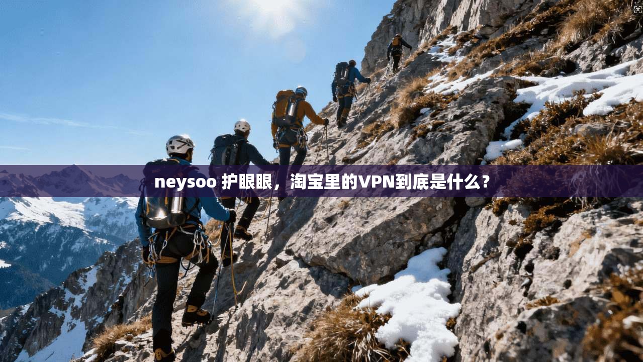 neysoo 护眼眼,淘宝里的VPN到底是什么? 第1张 neysoo 护眼眼,淘宝里的VPN到底是什么? 第1张