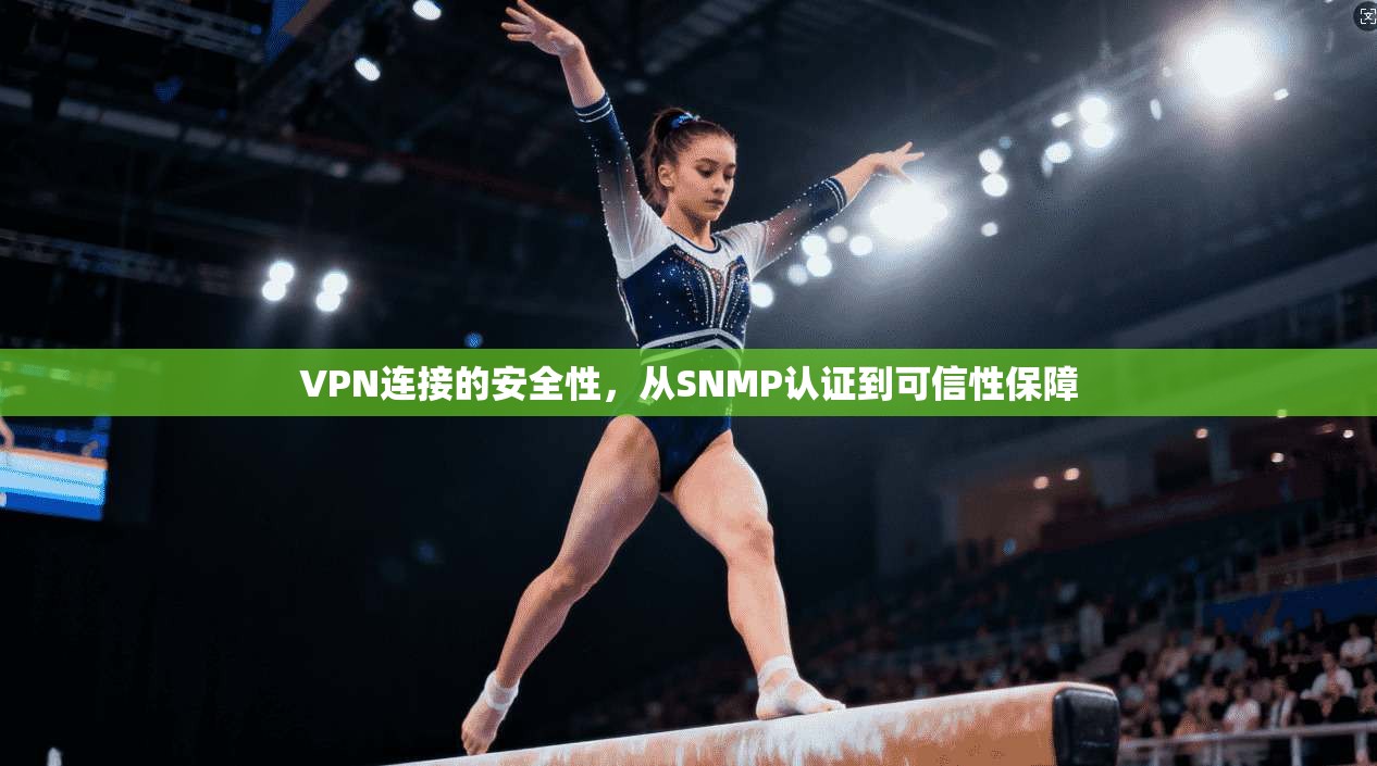 VPN连接的安全性，从SNMP认证到可信性保障  第1张