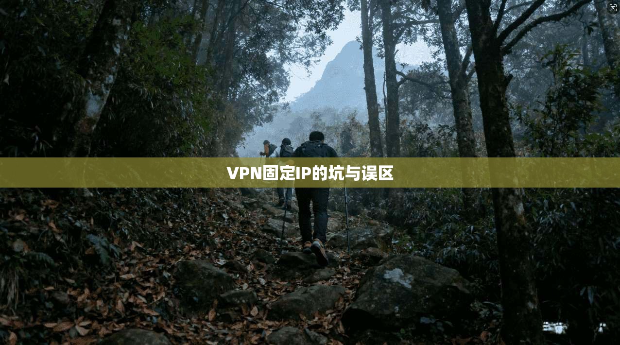 VPN固定IP的坑与误区  第1张