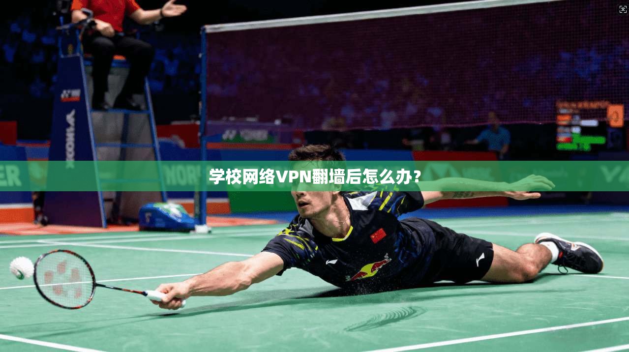 学校网络VPN翻墙后怎么办？  第1张