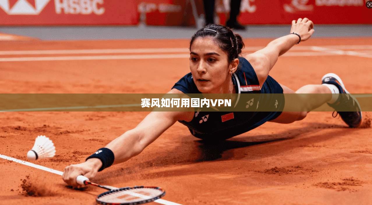 赛风如何用国内VPN 第1张 赛风如何用国内VPN 第1张