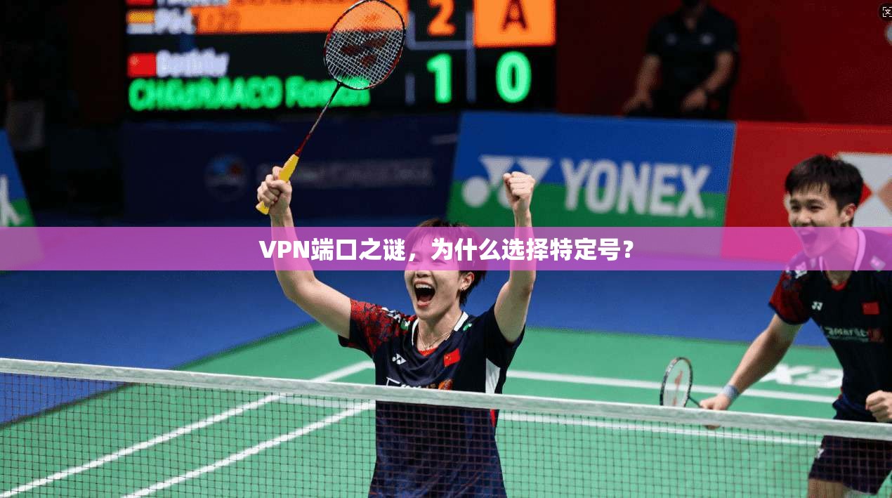 VPN端口之谜,为什么选择特定号? 第1张 VPN端口之谜,为什么选择特定号? 第1张