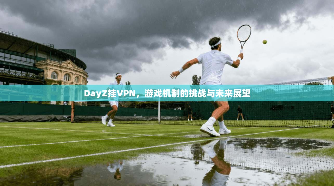 DayZ挂VPN，游戏机制的挑战与未来展望  第1张