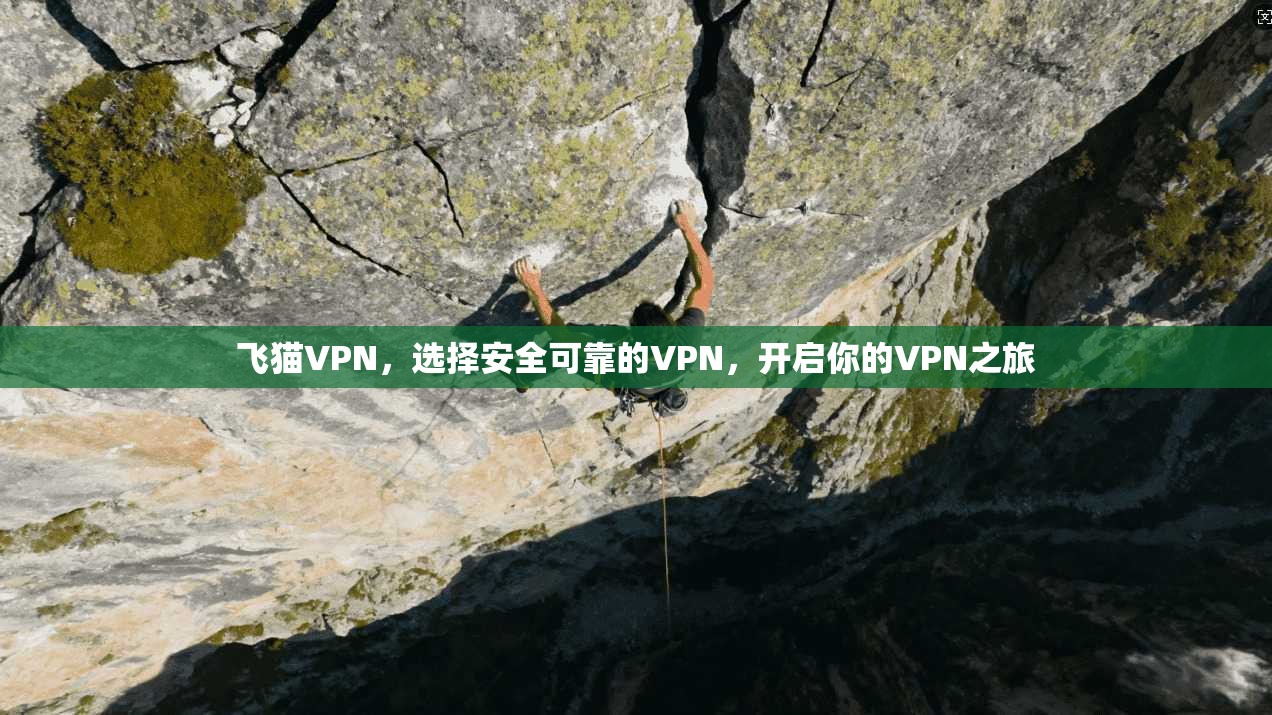 飞猫VPN,选择安全可靠的VPN,开启你的VPN之旅 第1张 飞猫VPN,选择安全可靠的VPN,开启你的VPN之旅 第1张
