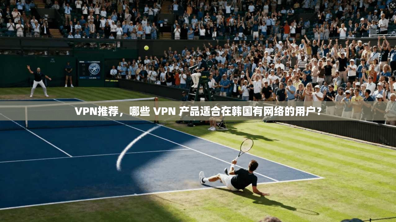VPN推荐，哪些 VPN 产品适合在韩国有网络的用户？