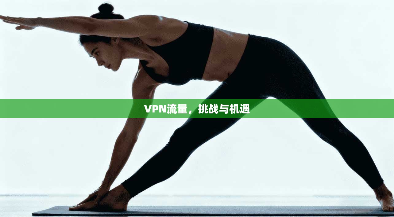VPN流量，挑战与机遇  第1张