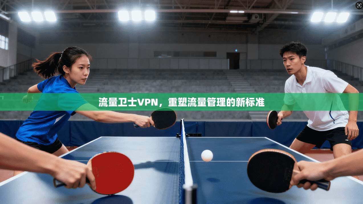 流量卫士VPN，重塑流量管理的新标准