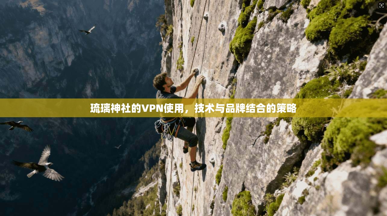 琉璃神社的VPN使用，技术与品牌结合的策略