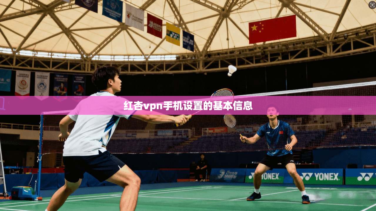 红杏vpn手机设置的基本信息