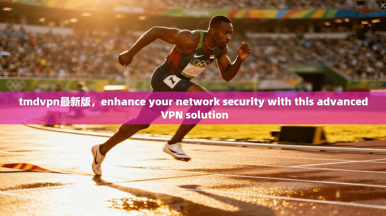tmdvpn最新版，enhance your network security with this advanced VPN solution