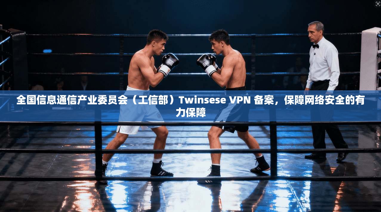 全国信息通信产业委员会（工信部）Twinsese VPN 备案，保障网络安全的有力保障