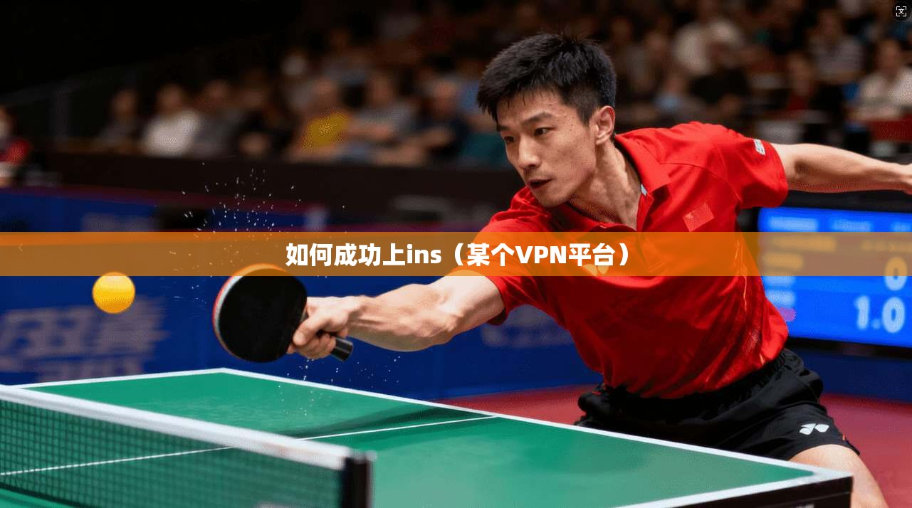 如何成功上ins（某个VPN平台）