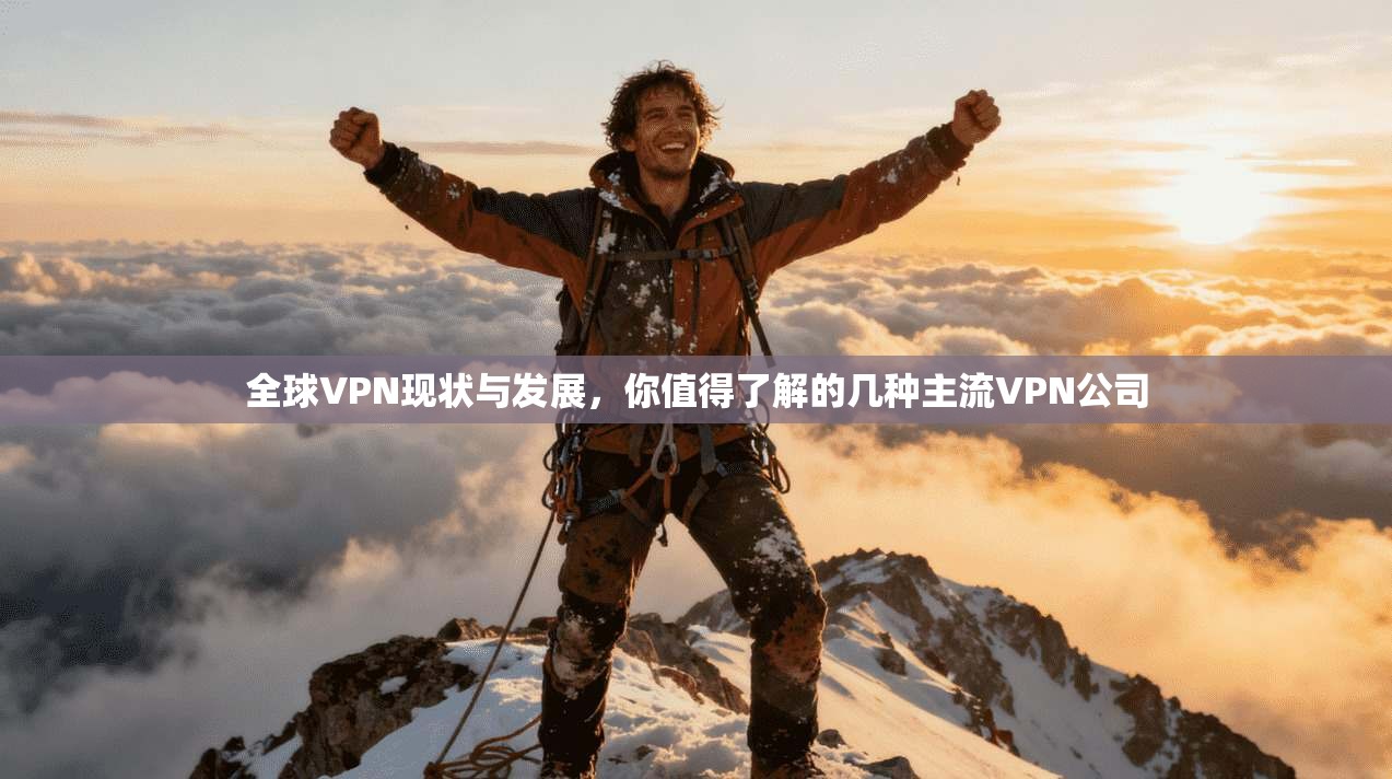 全球VPN现状与发展，你值得了解的几种主流VPN公司