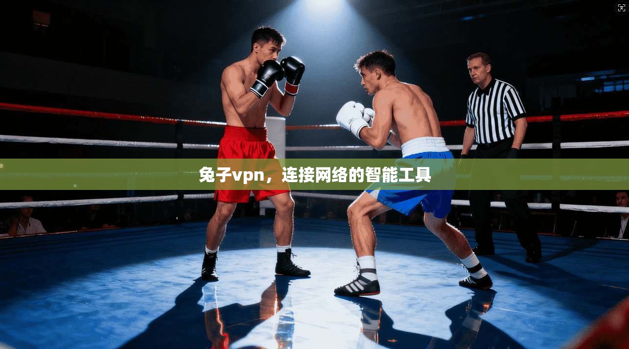 兔子vpn,连接网络的智能工具