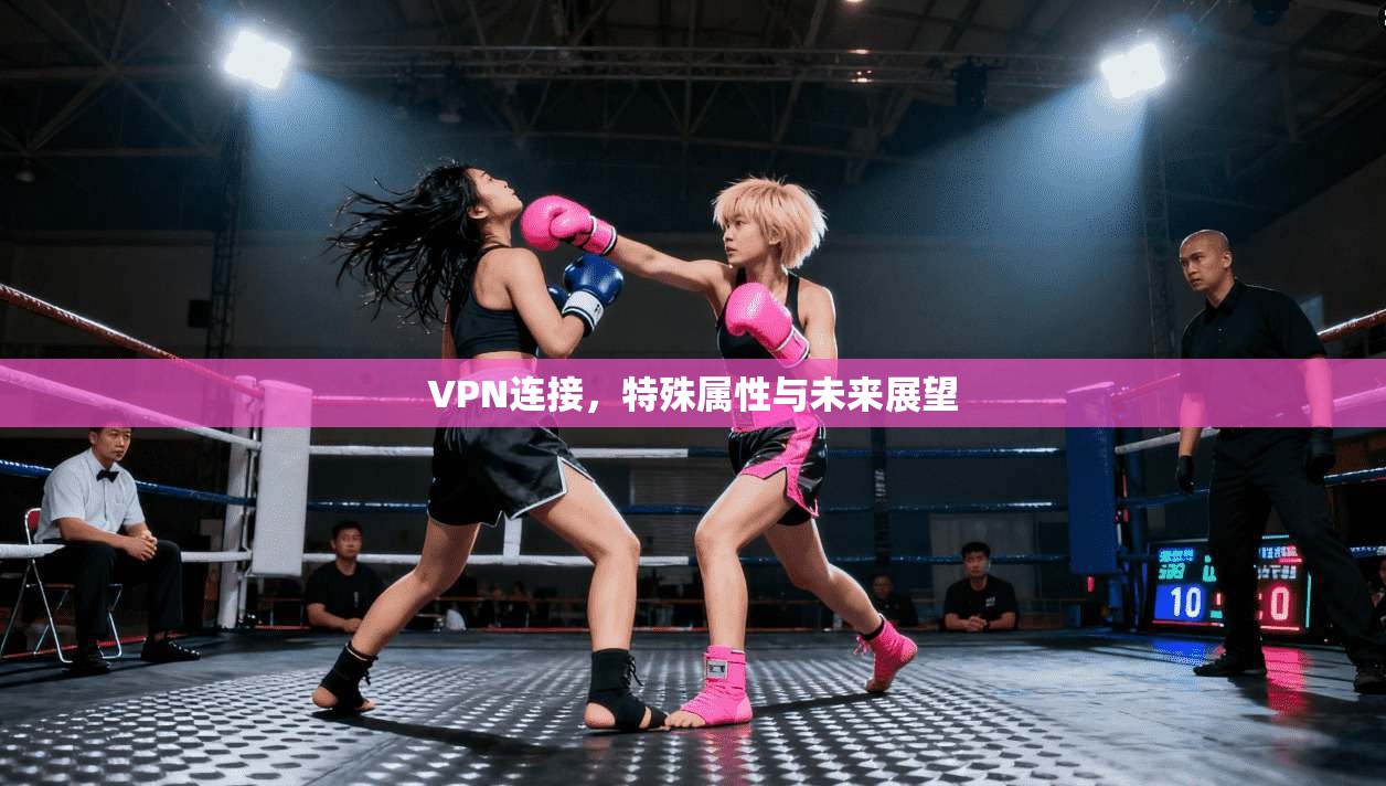 VPN连接，特殊属性与未来展望