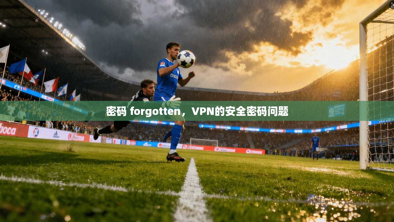 密码 forgotten，VPN的安全密码问题