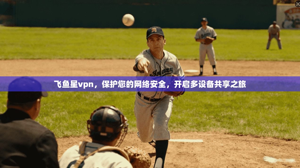 飞鱼星vpn，保护您的网络安全，开启多设备共享之旅