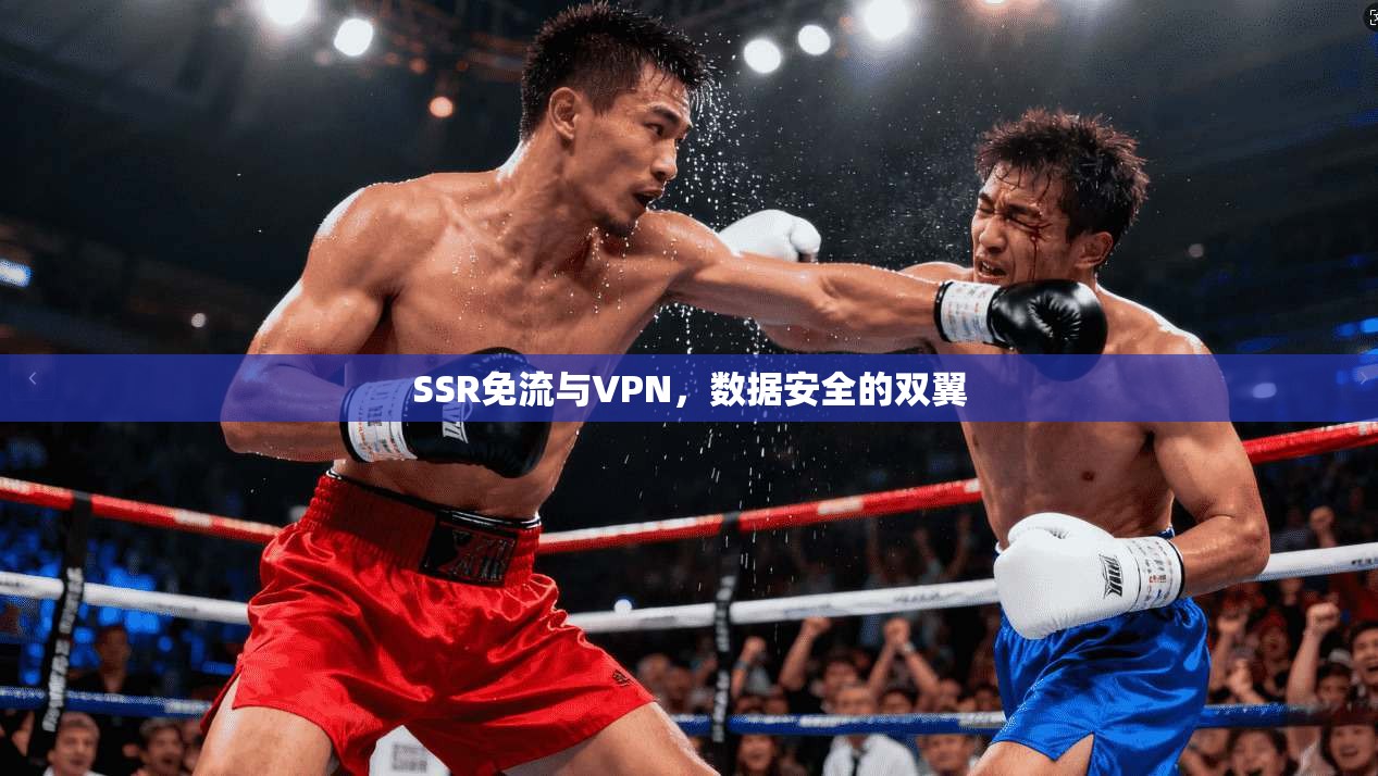 SSR免流与VPN，数据安全的双翼