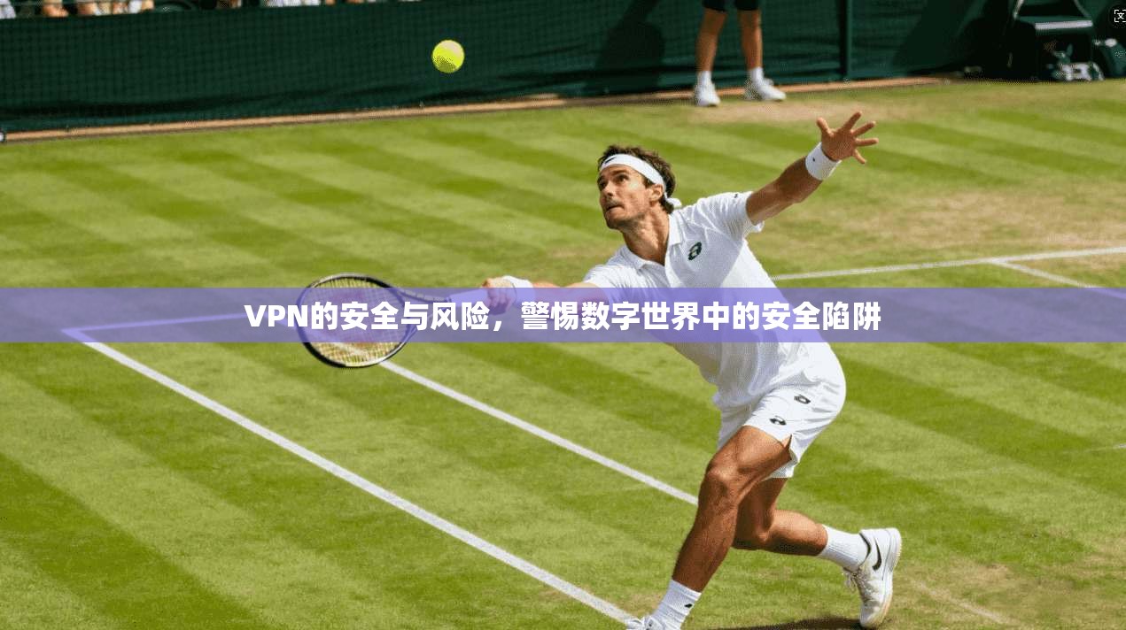 VPN的安全与风险,警惕数字世界中的安全陷阱