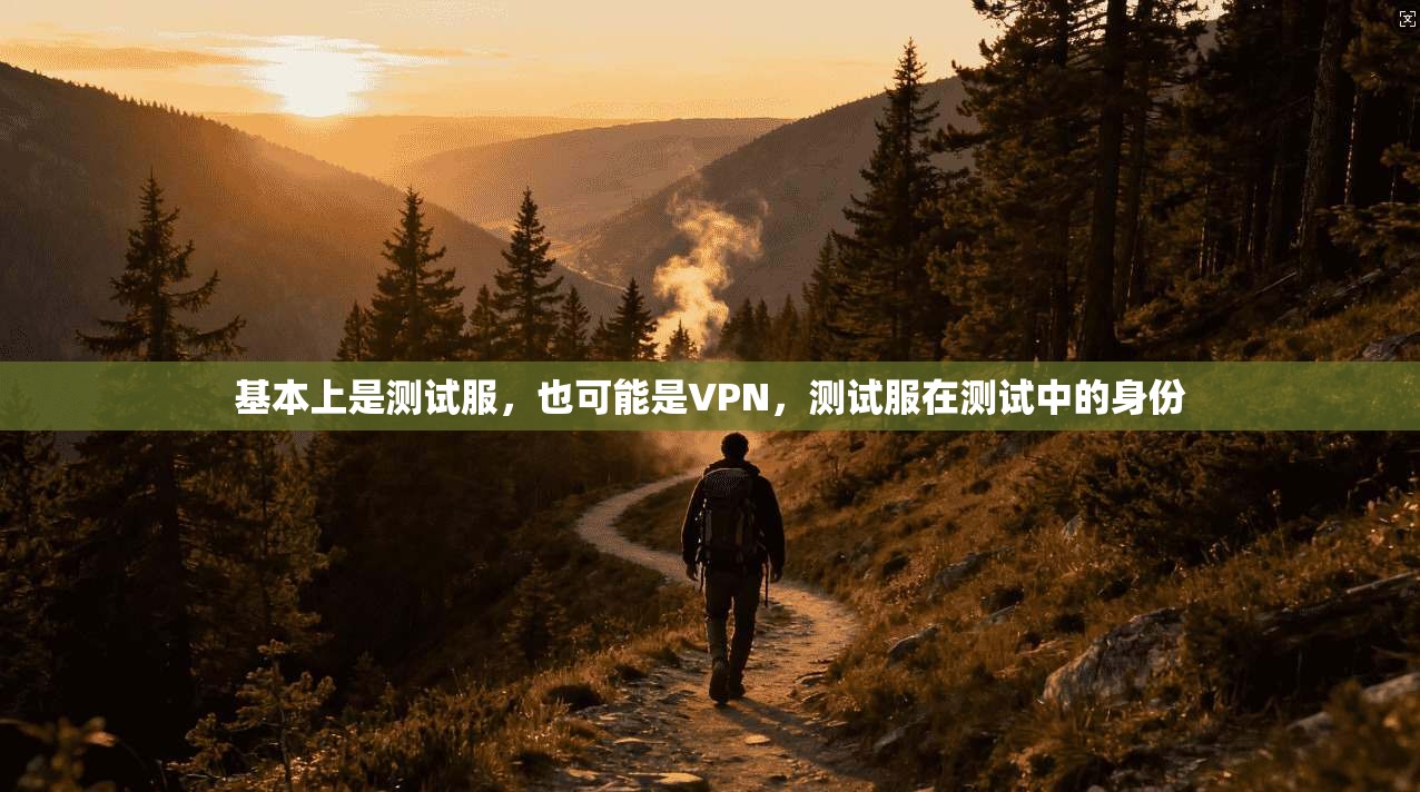基本上是测试服，也可能是VPN，测试服在测试中的身份