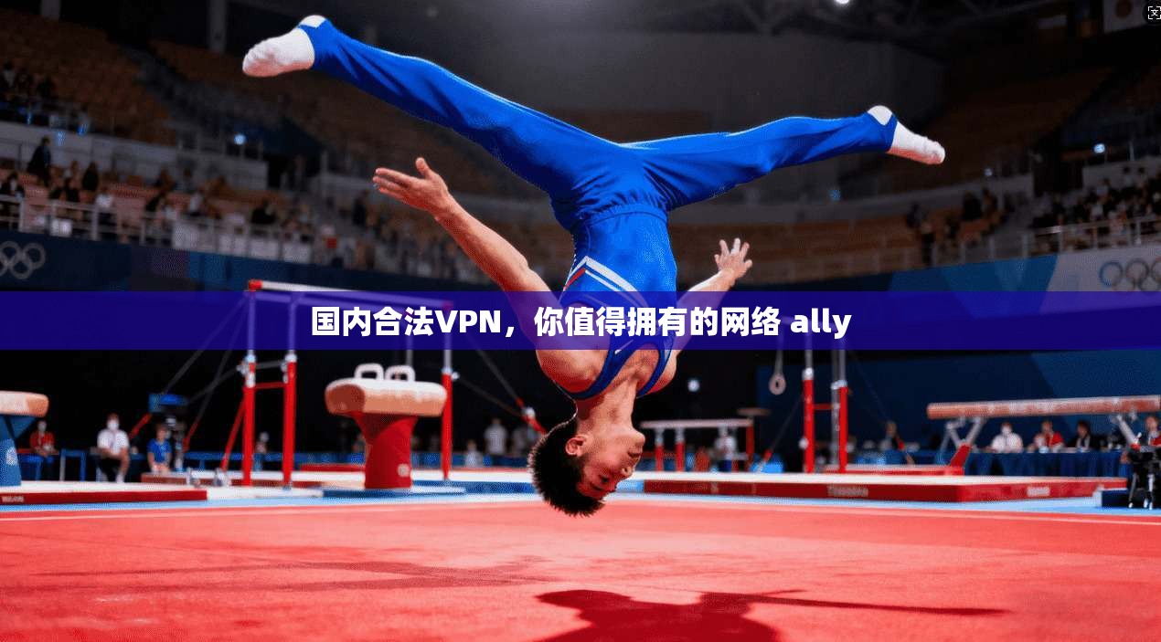 国内合法VPN，你值得拥有的网络 ally