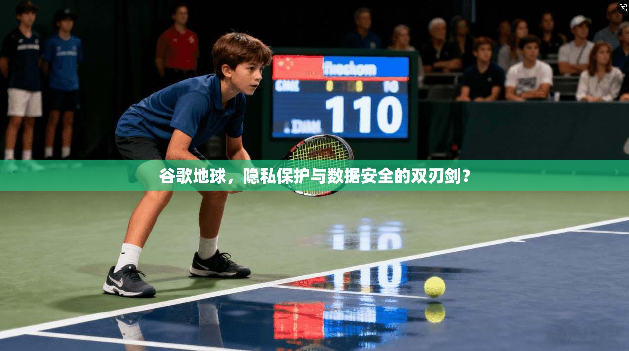 谷歌地球，隐私保护与数据安全的双刃剑？