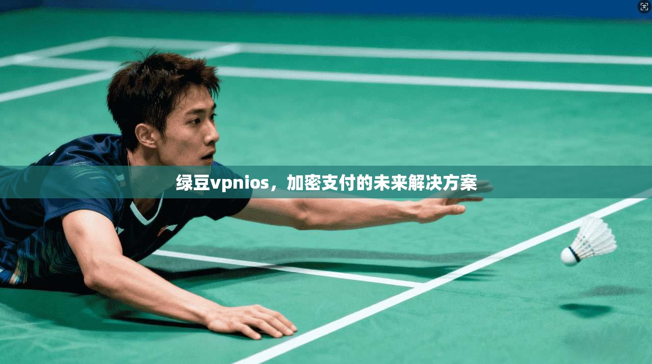 绿豆vpnios，加密支付的未来解决方案