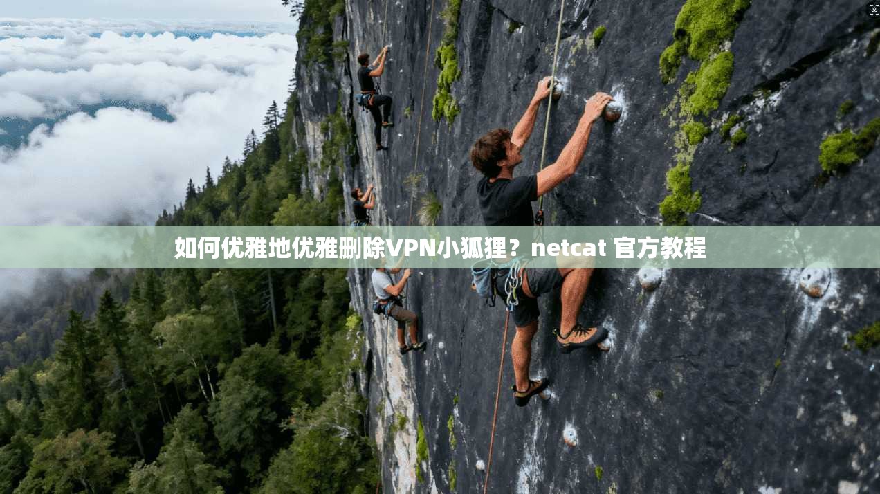 如何优雅地优雅删除VPN小狐狸？netcat 官方教程
