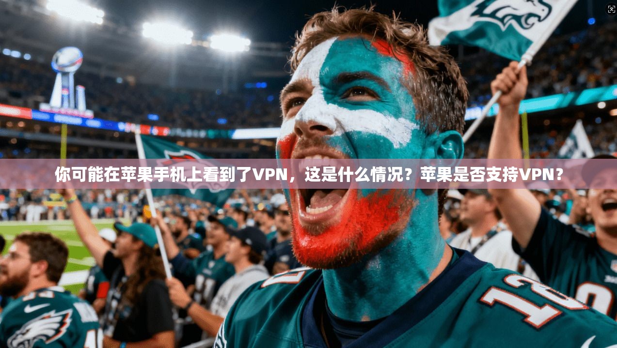 你可能在苹果手机上看到了VPN，这是什么情况？苹果是否支持VPN？