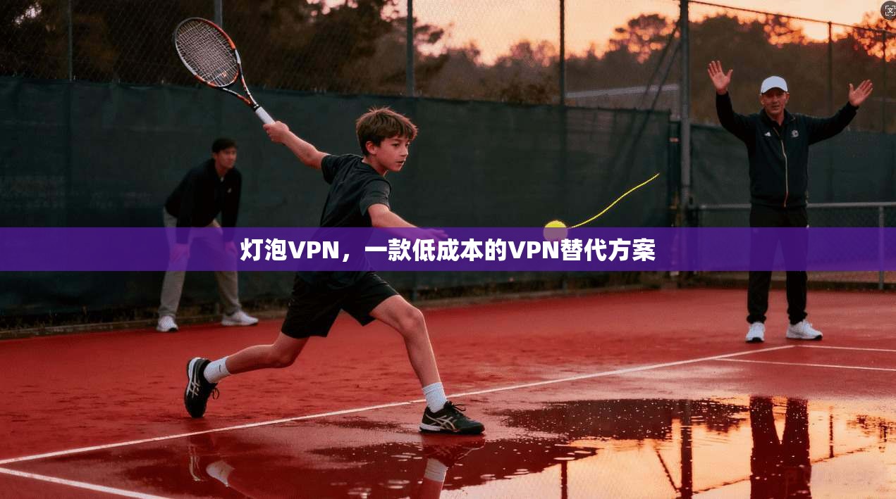 灯泡VPN，一款低成本的VPN替代方案