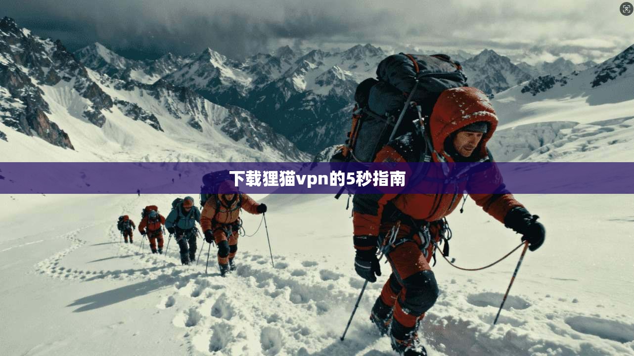 下载狸猫vpn的5秒指南