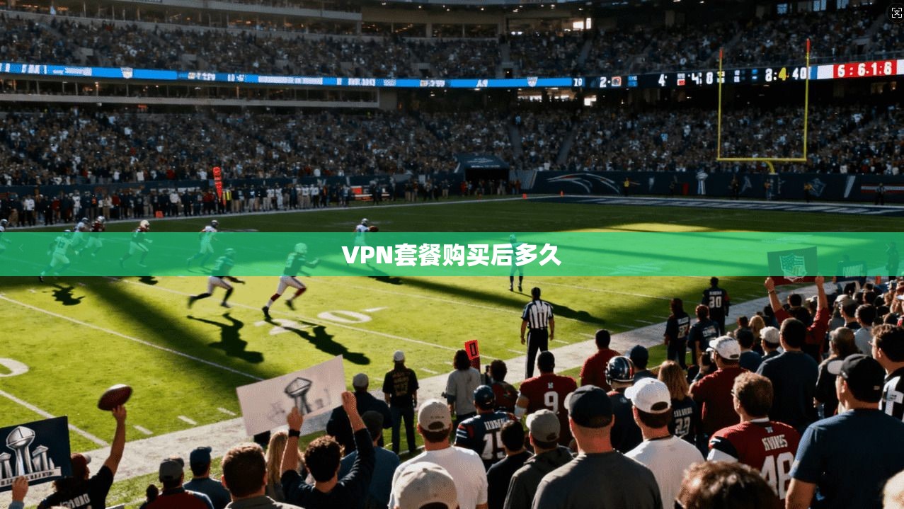 VPN套餐购买后多久