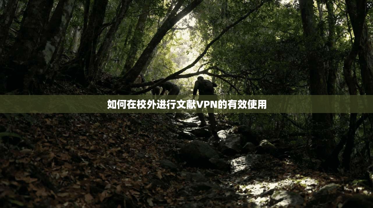 如何在校外进行文献VPN的有效使用