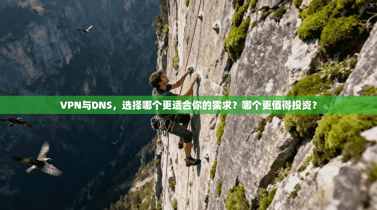VPN与DNS，选择哪个更适合你的需求？哪个更值得投资？