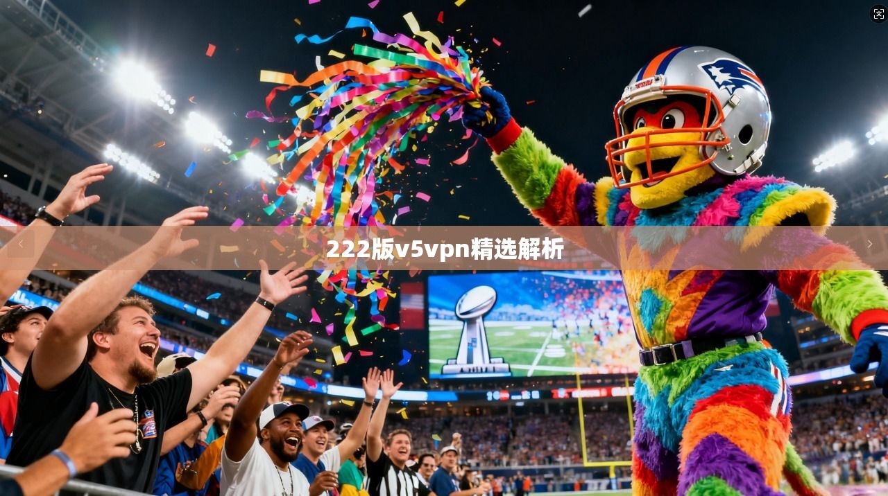 222版v5vpn精选解析