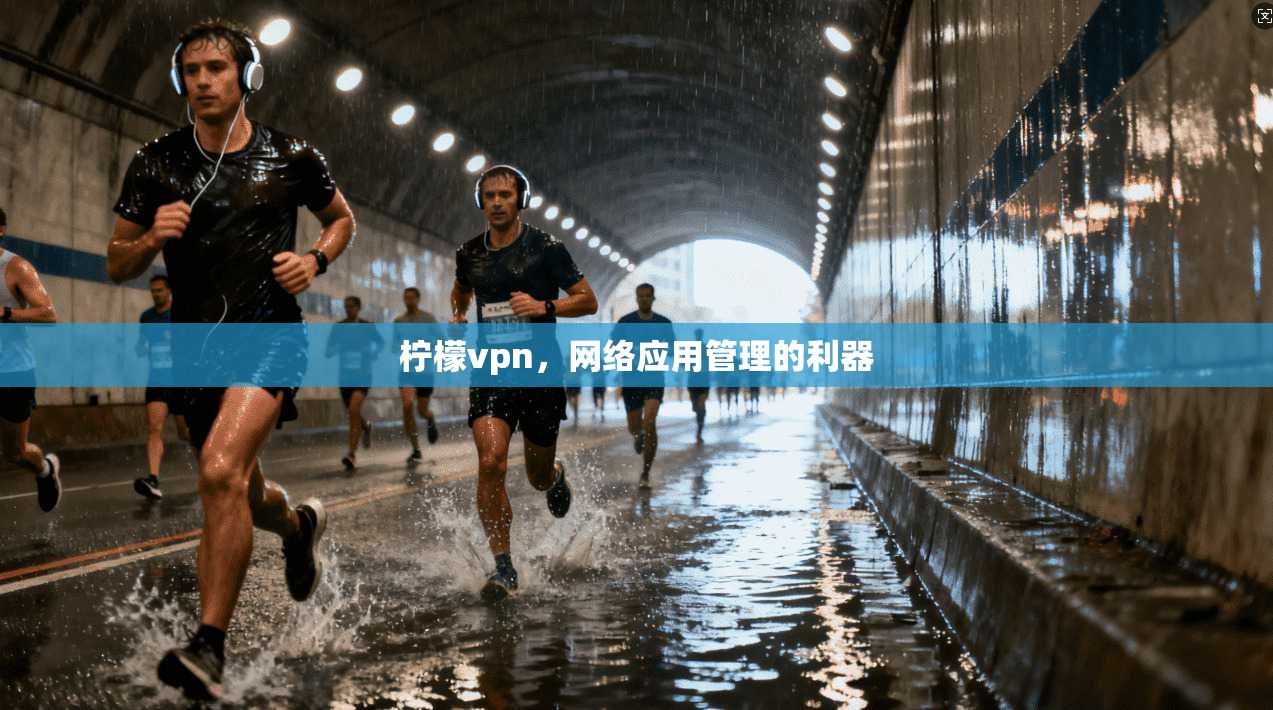 柠檬vpn，网络应用管理的利器