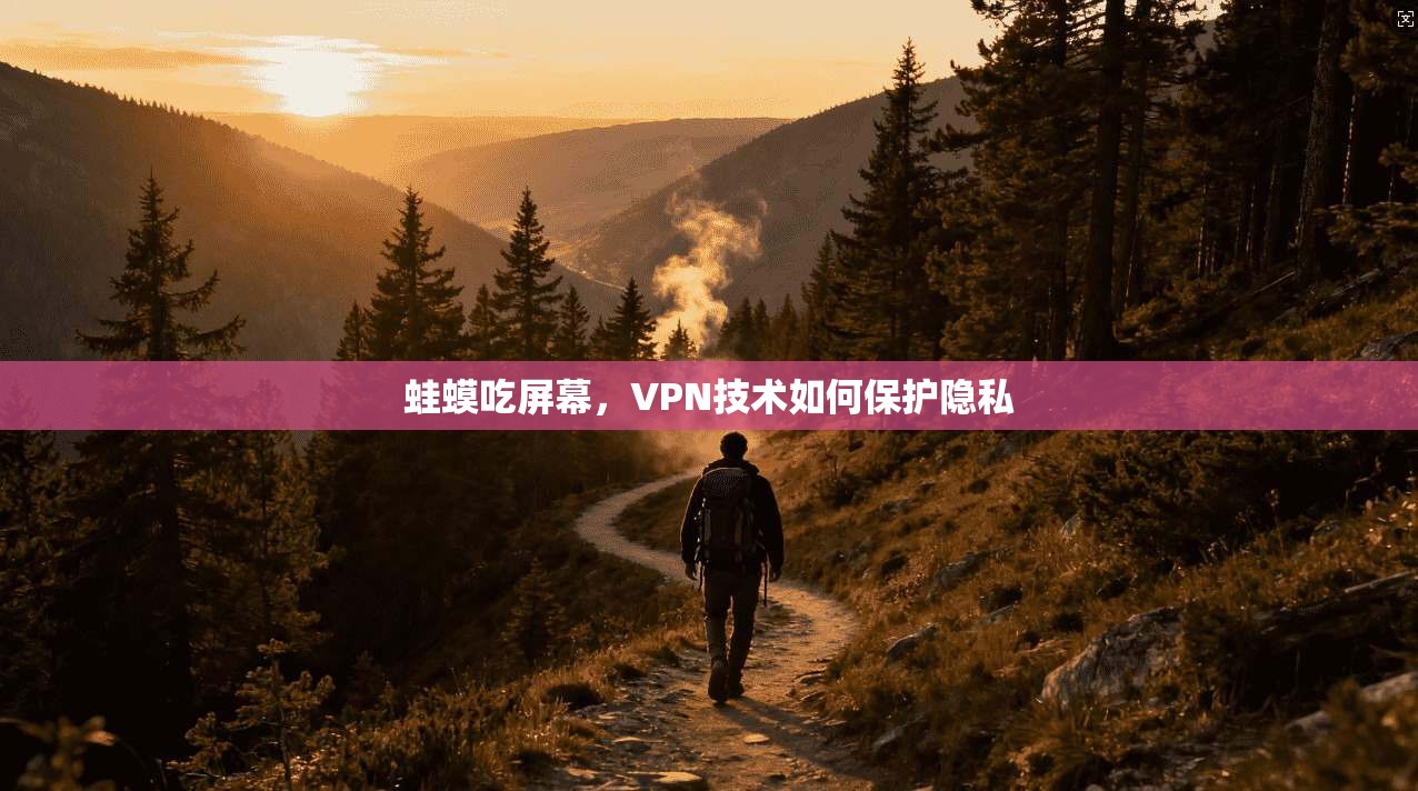 蛙蟆吃屏幕，VPN技术如何保护隐私