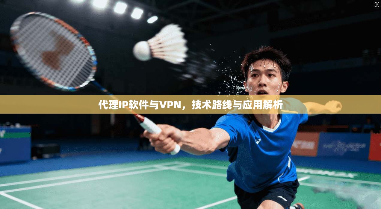 代理IP软件与VPN，技术路线与应用解析