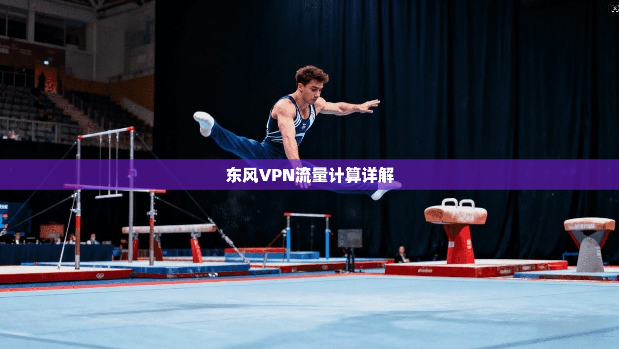 东风VPN流量计算详解
