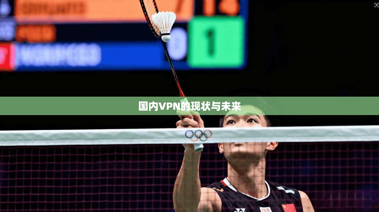 国内VPN的现状与未来