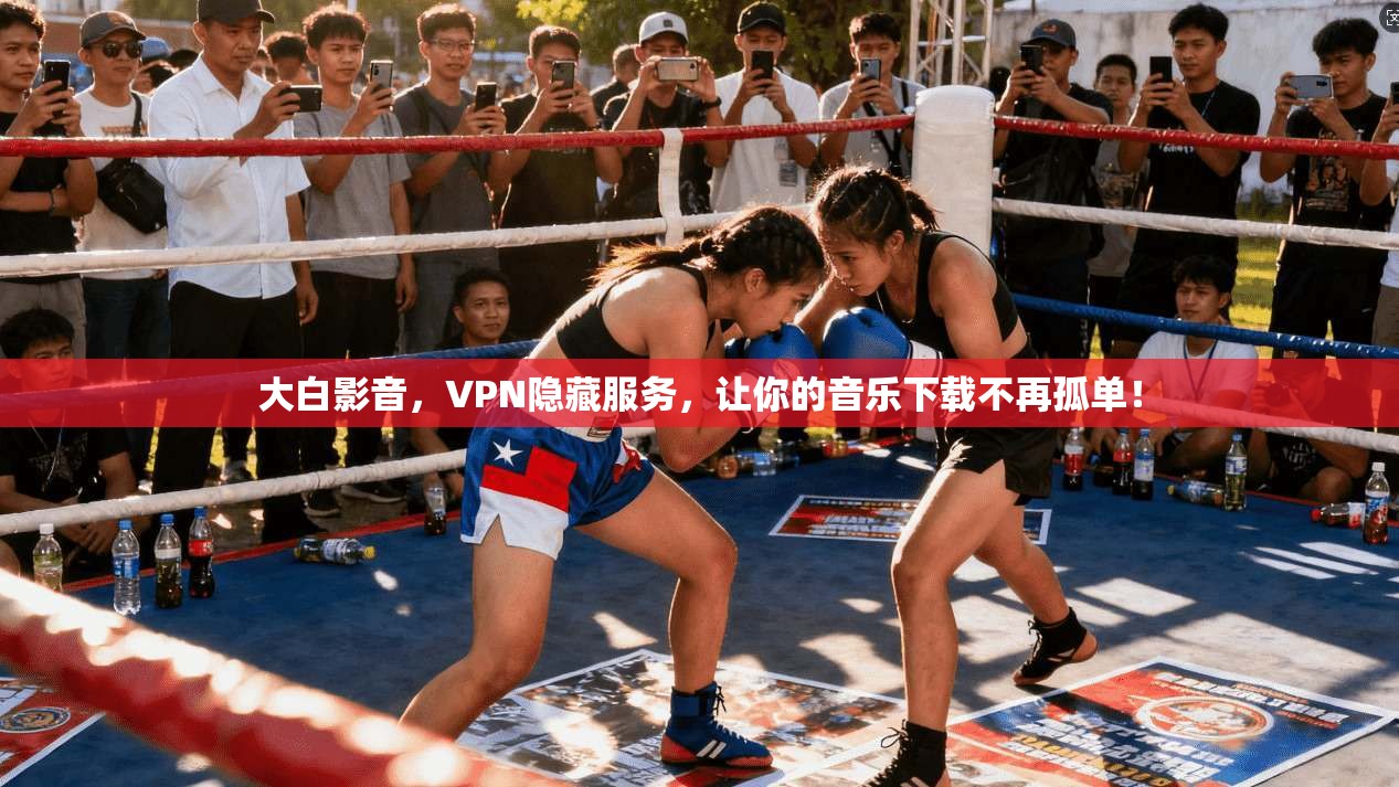 大白影音,VPN隐藏服务,让你的音乐下载不再孤单!