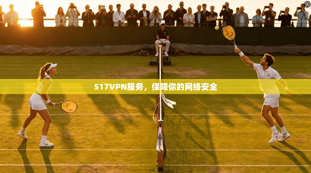 517VPN服务,保障你的网络安全
