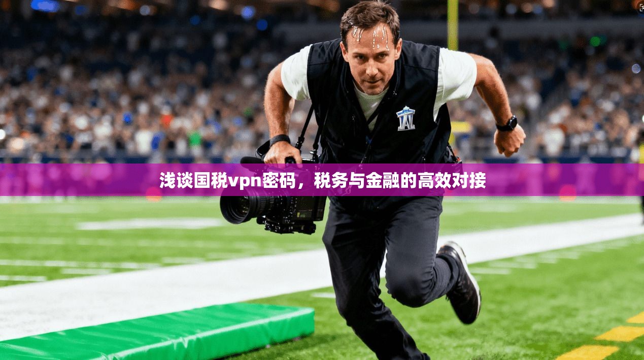 浅谈国税vpn密码，税务与金融的高效对接
