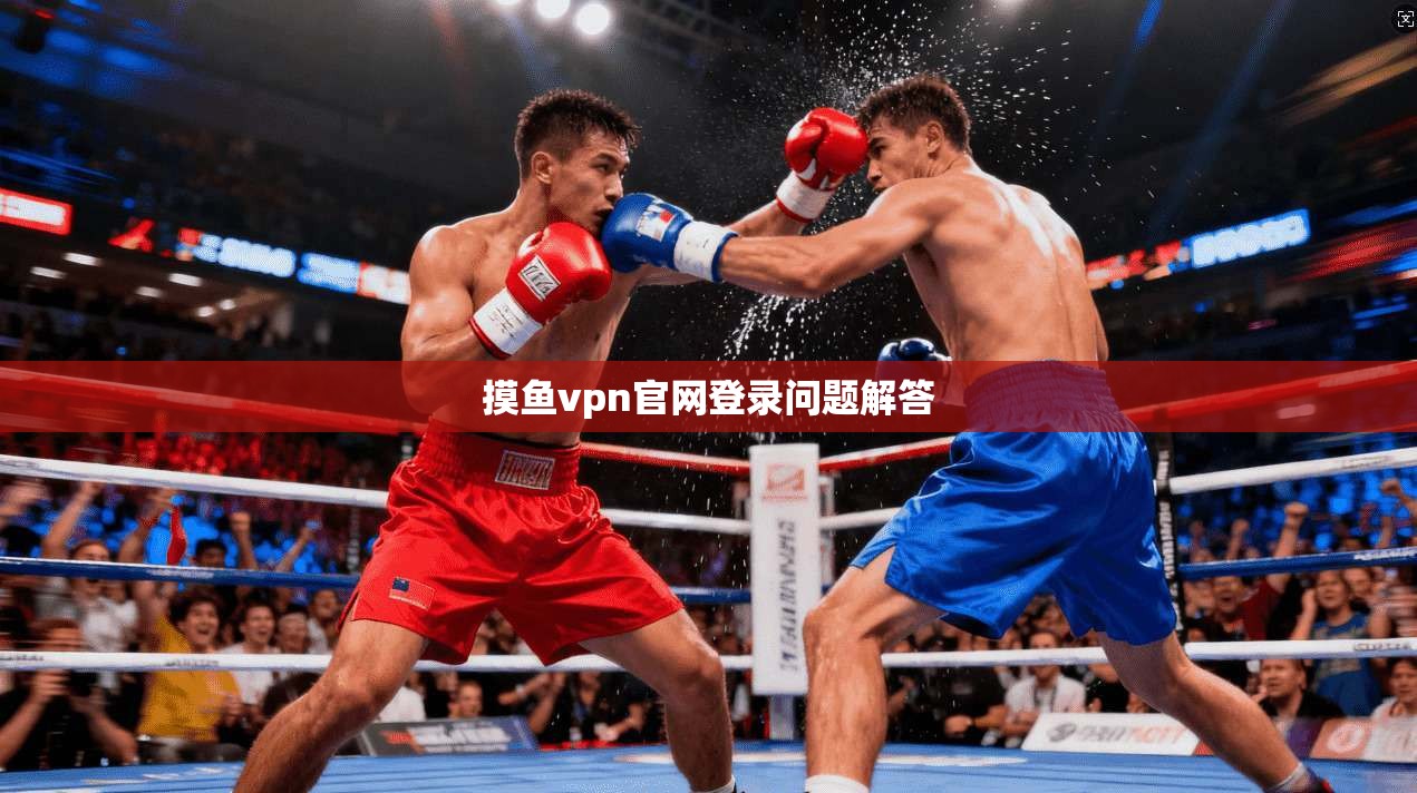 摸鱼vpn官网登录问题解答