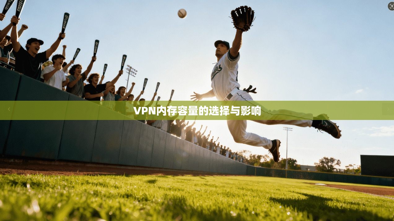 VPN内存容量的选择与影响