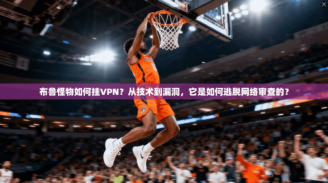 布鲁怪物如何挂VPN？从技术到漏洞，它是如何逃脱网络审查的？