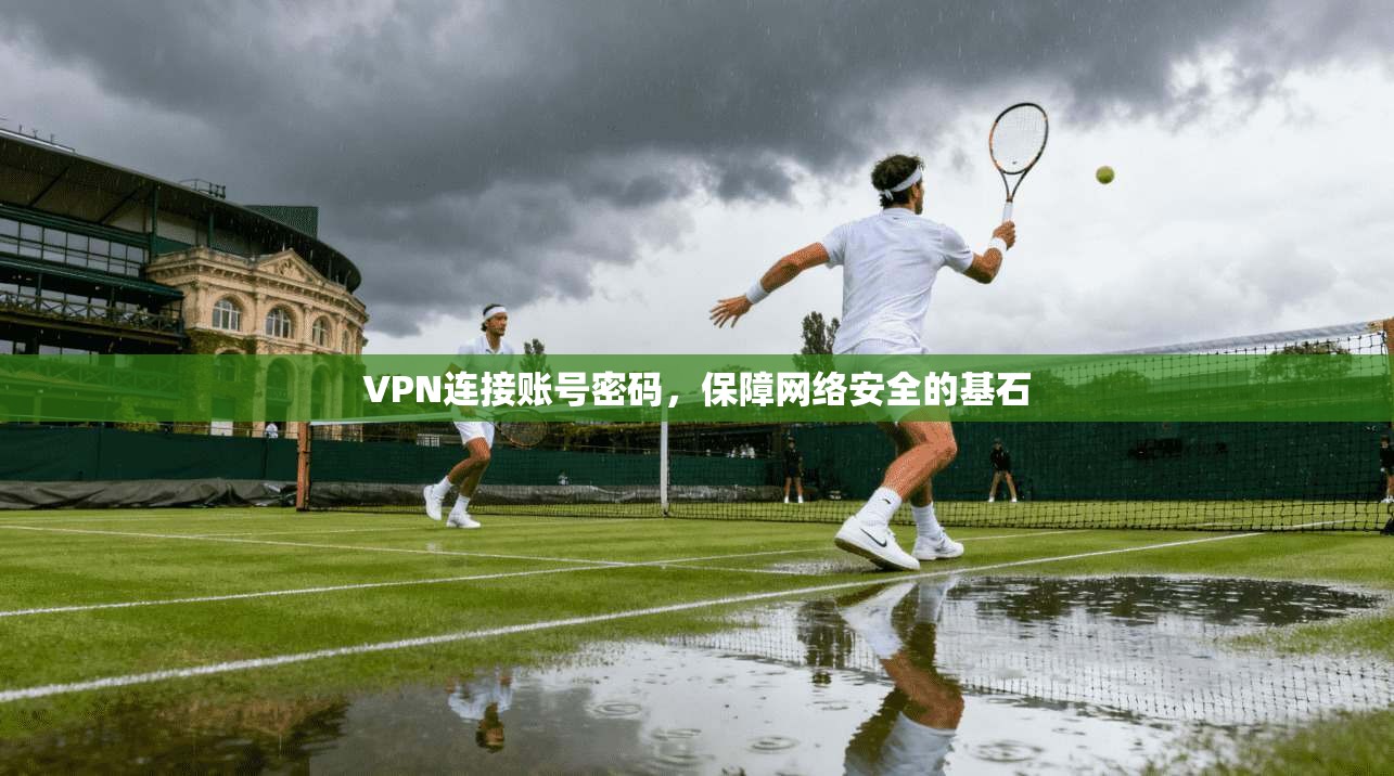 VPN连接账号密码，保障网络安全的基石