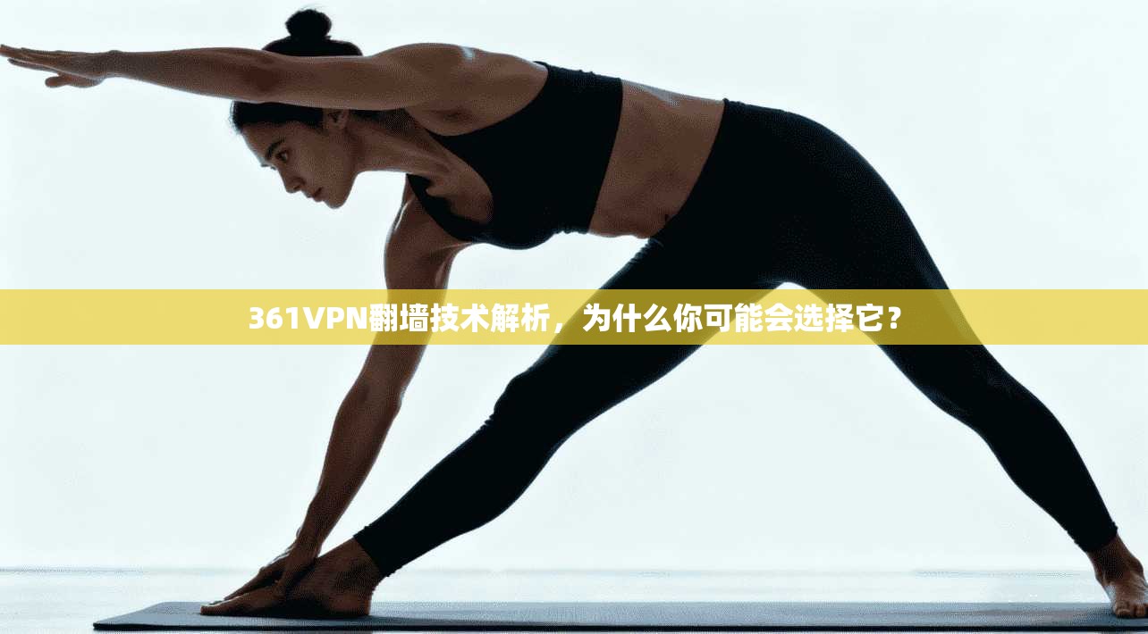 361VPN翻墙技术解析，为什么你可能会选择它？